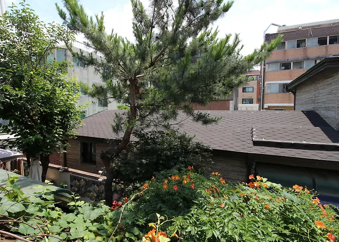 Bunk Hongdae